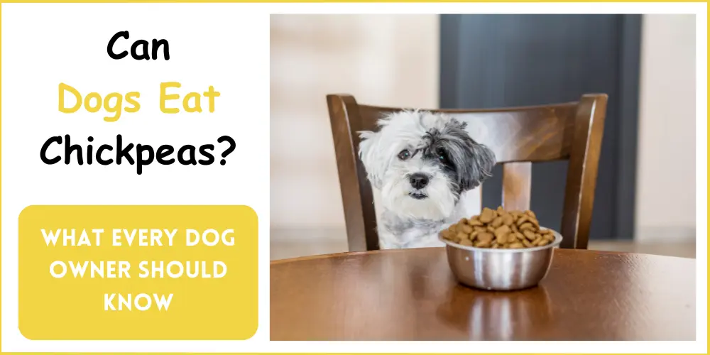 can dogs eat chickpeas