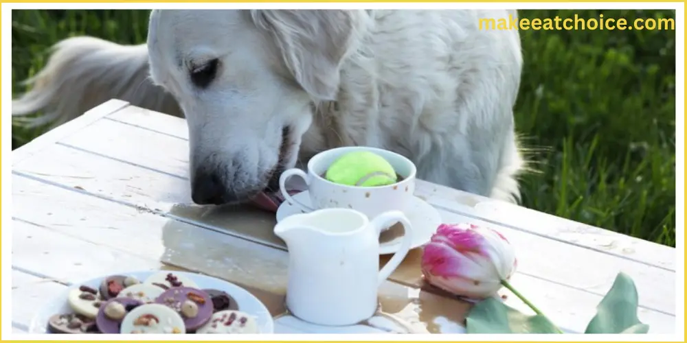 can dogs eat dragon fruit