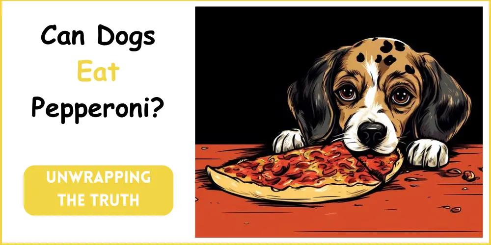 can dogs eat pepperoni