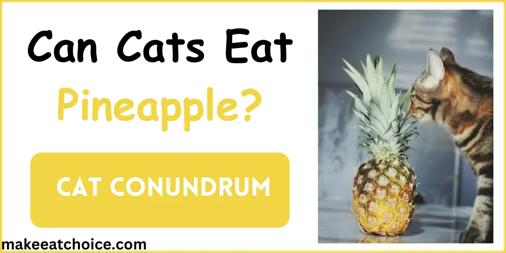 can cats eat pineapple