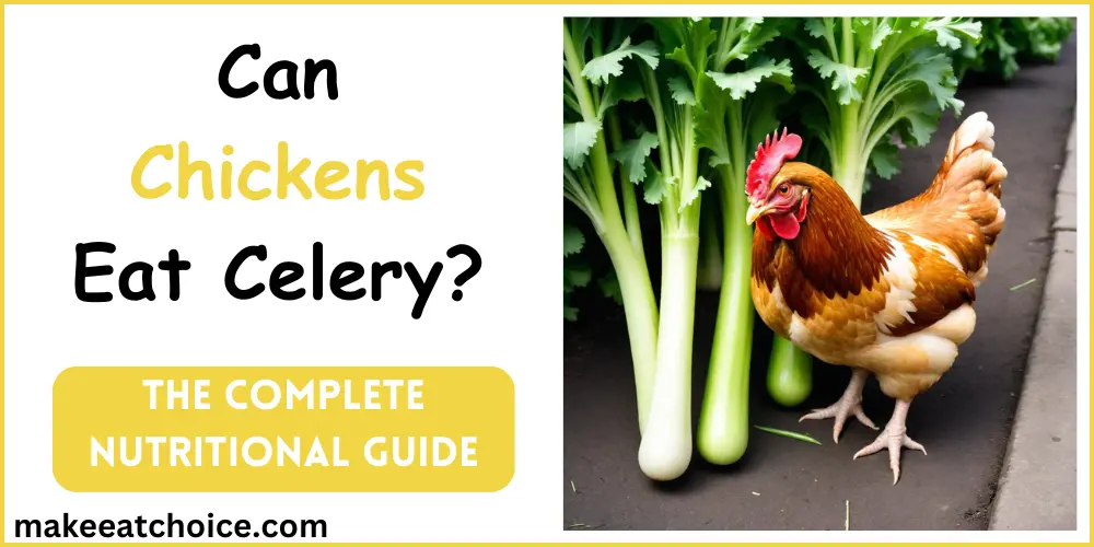 can chickens eat celery