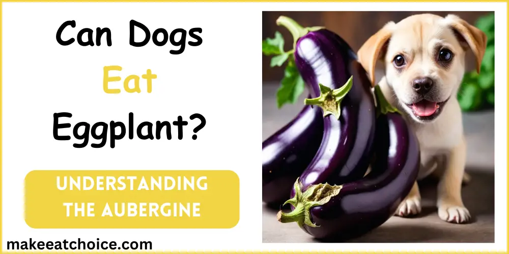 can dogs eat eggplant