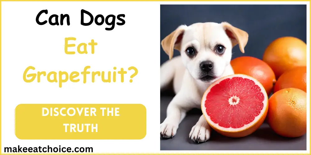 can dogs eat grapefruit