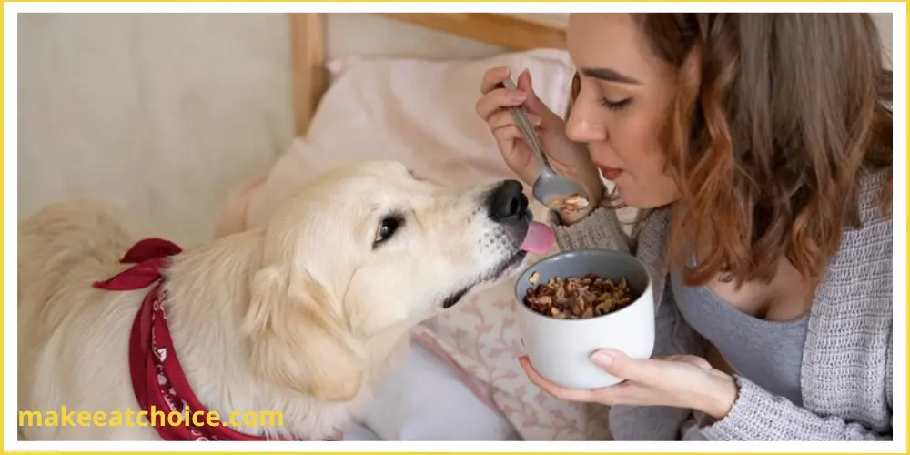 can dogs eat quinoa