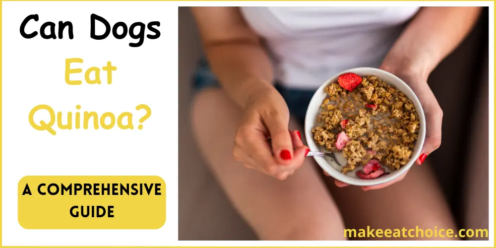 can dogs eat quinoa