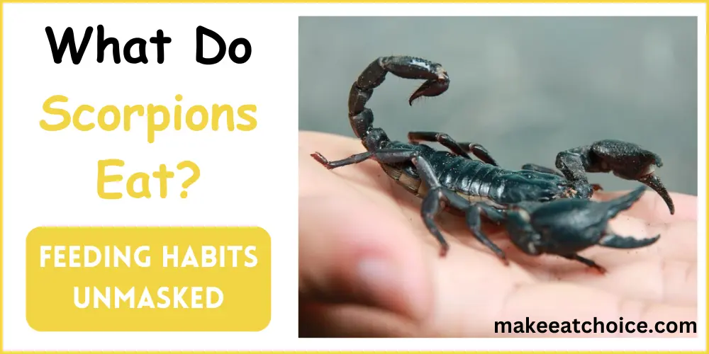 what do scorpions eat