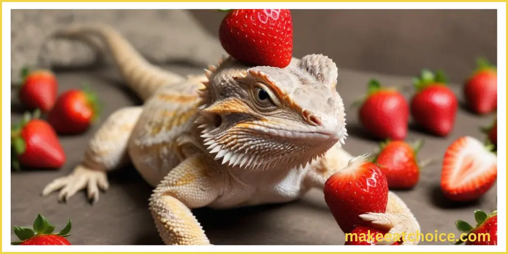 can bearded dragons eat strawberries