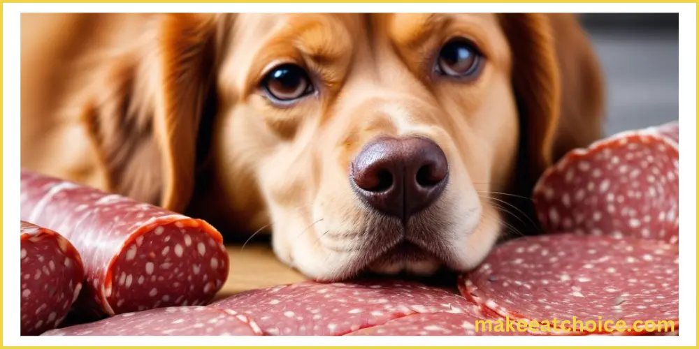 can dogs eat salami