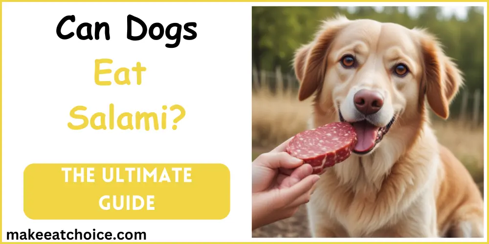 can dogs eat salami