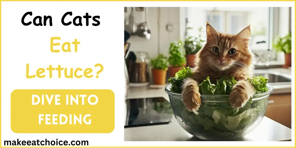 can cats eat lettuce