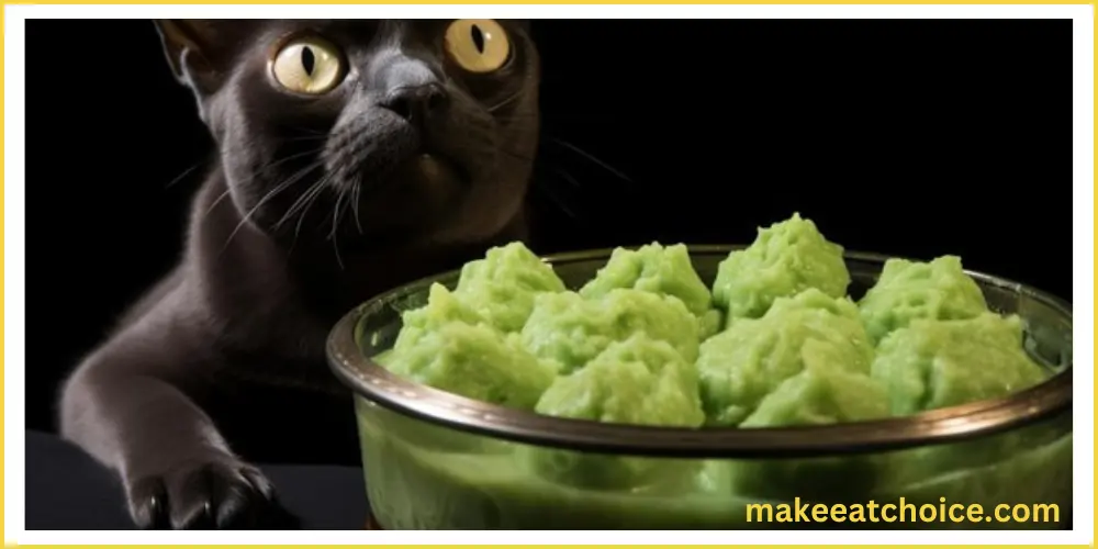 can cats eat lettuce